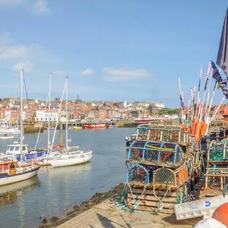 Dove Whitby
